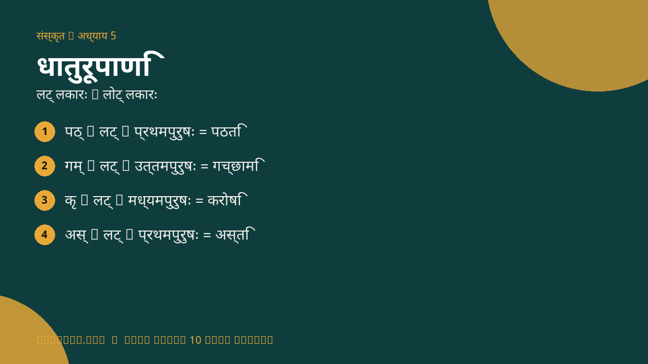 धातुरूपाणि infographic