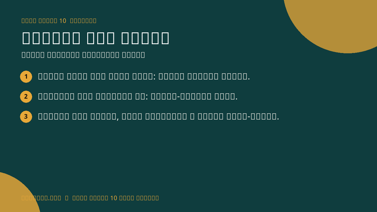 Mijbil the Otter infographic
